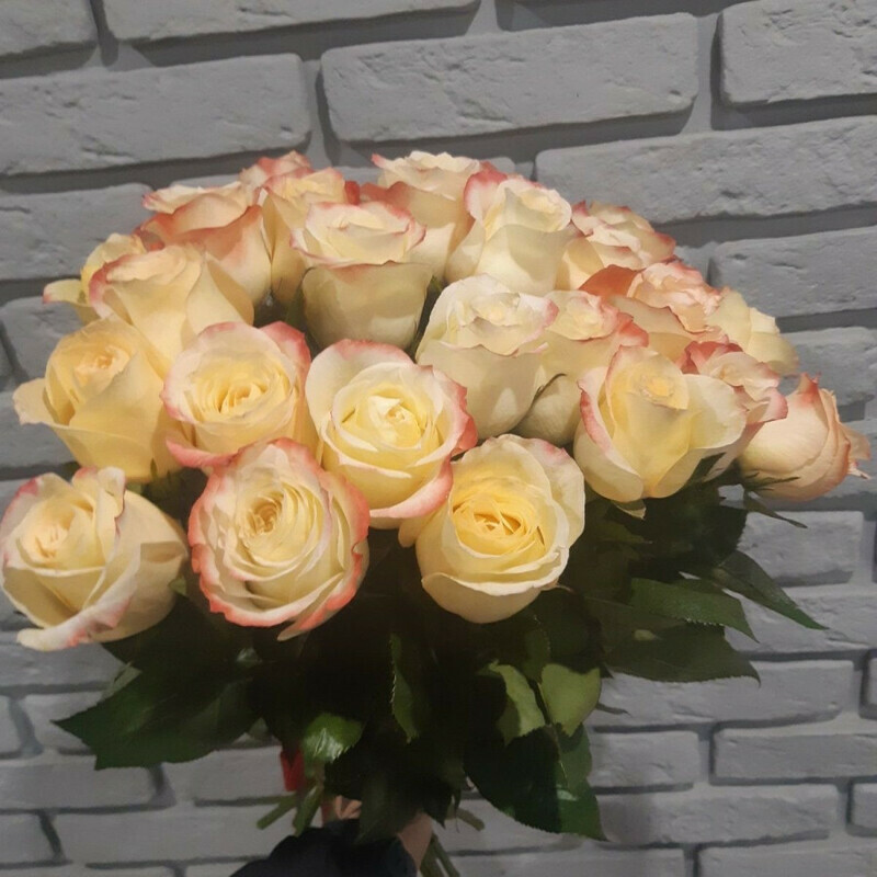 Ясность, стандартный