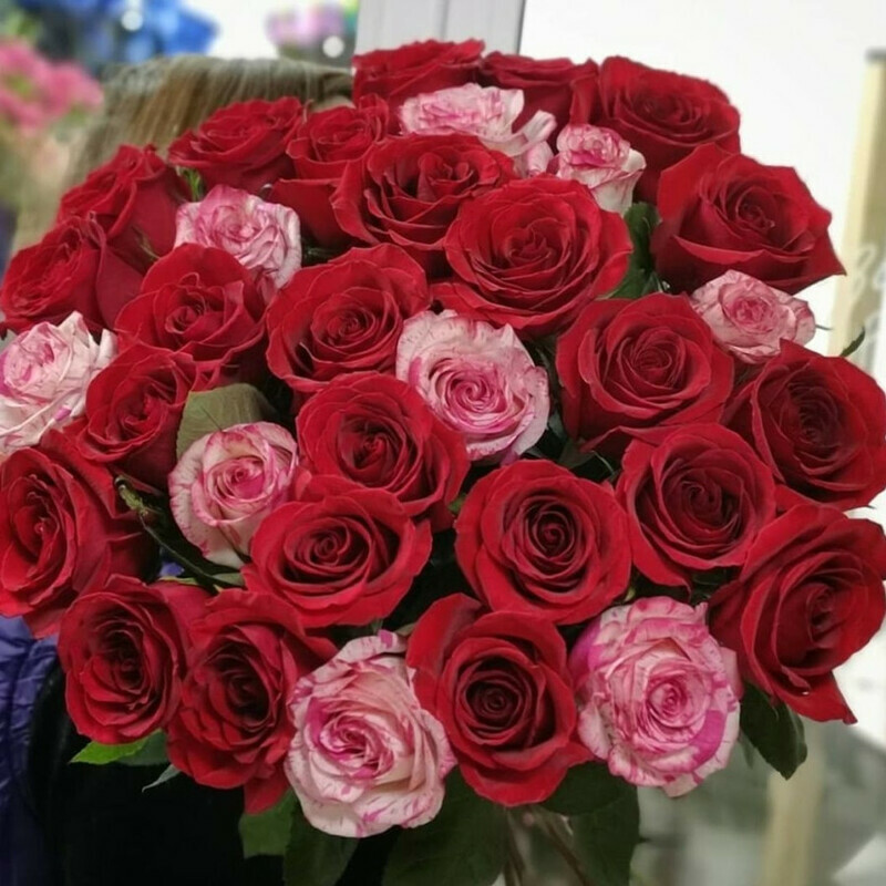 Pervoe svidanie, standart