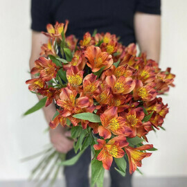 Любимый фильм