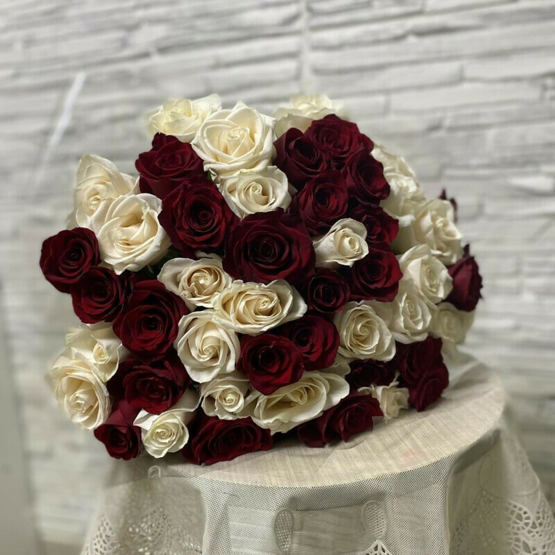 Бионика, стандартный