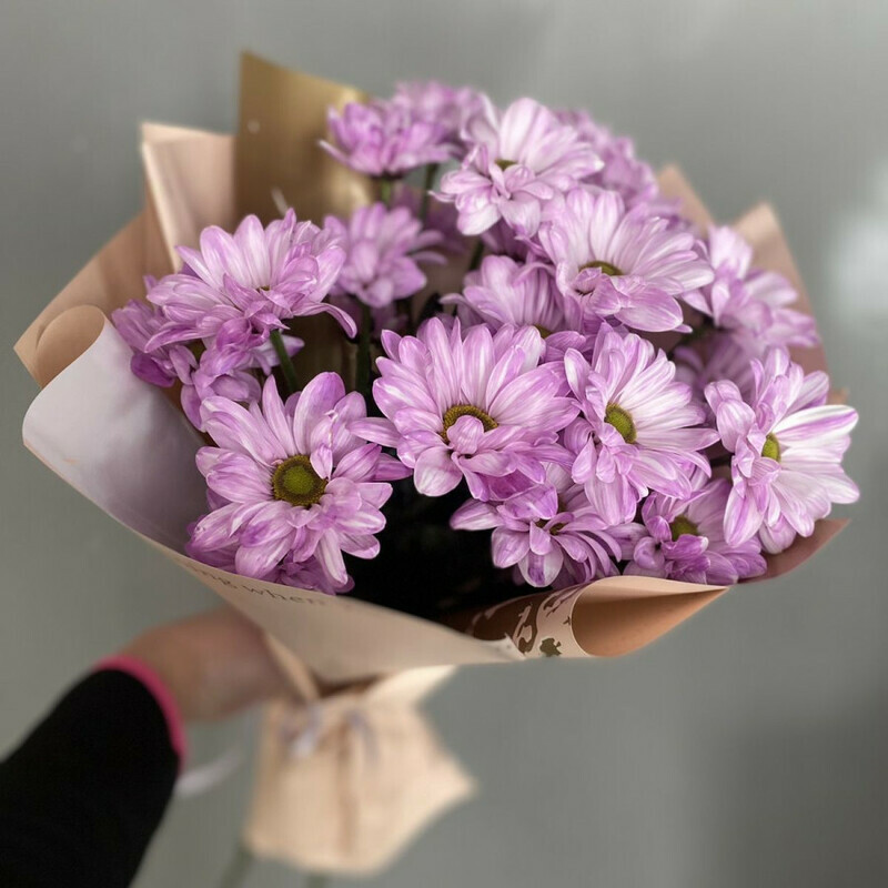 3 хризантемы, стандартный