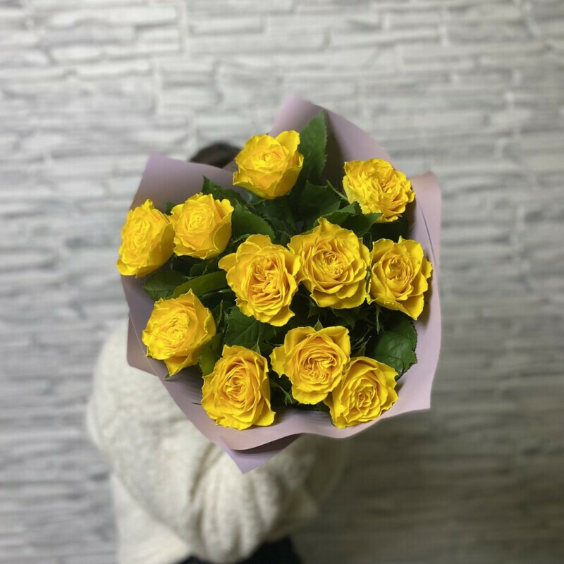 Podkova schast_ya, standart