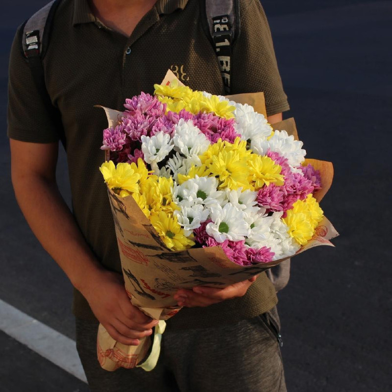 15 hrizantemi, standart