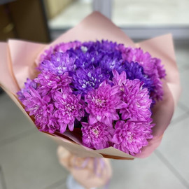 9 кустовых хризантем