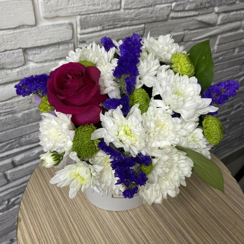 Granitci snov, standart