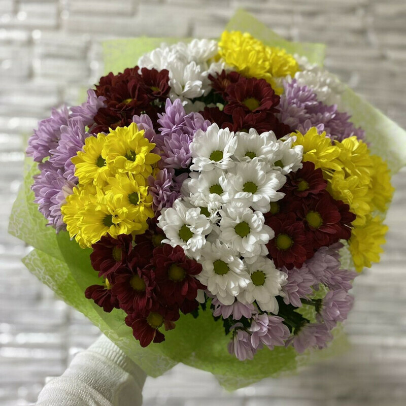 Hrizantemi miks, standart