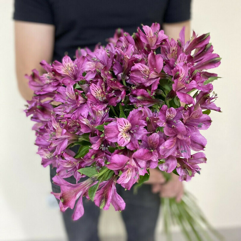 Tvoya nezhnost_, standart