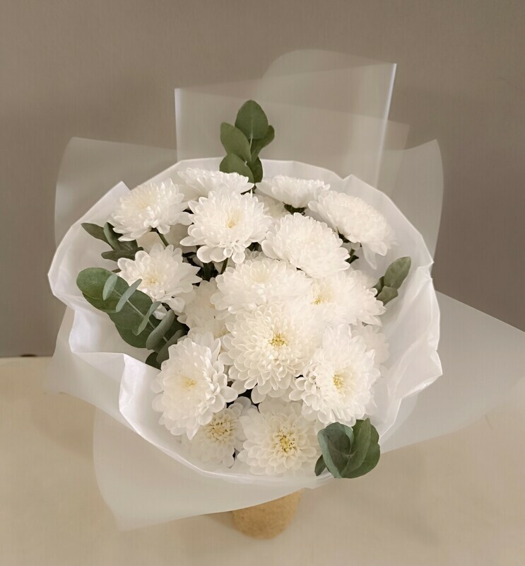 Белые хризантемы , уменьшенный