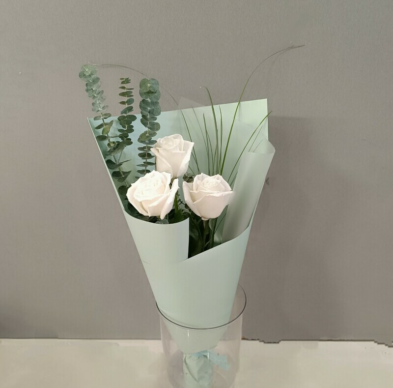 Белые розы, стандартный