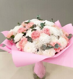 Pushistie hrizantemi