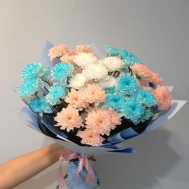 hrizantema kustovaya krashenaya miks