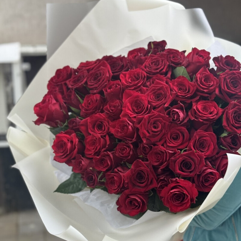 Бархатный привет , стандартный