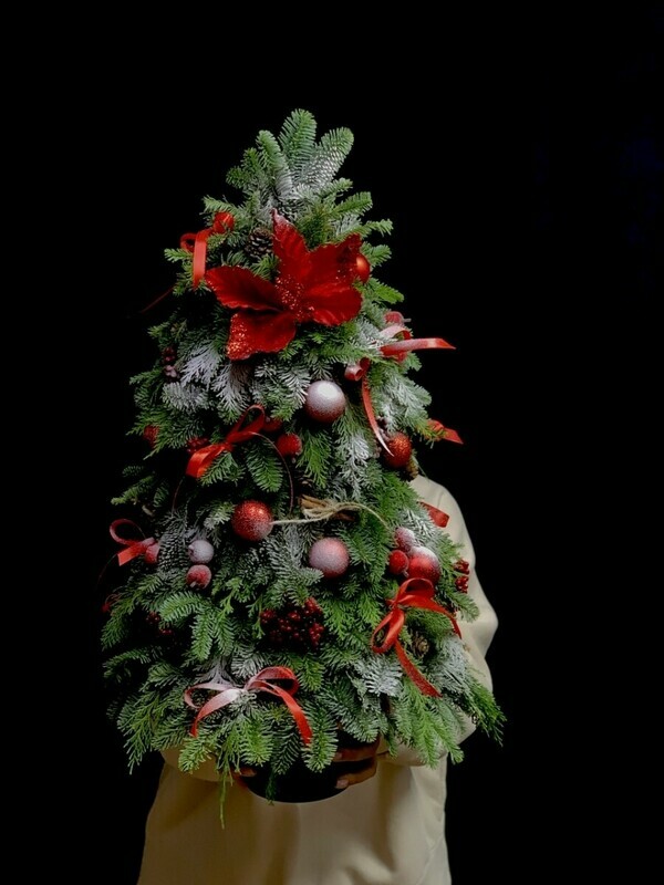 Елка праздничная , стандартный