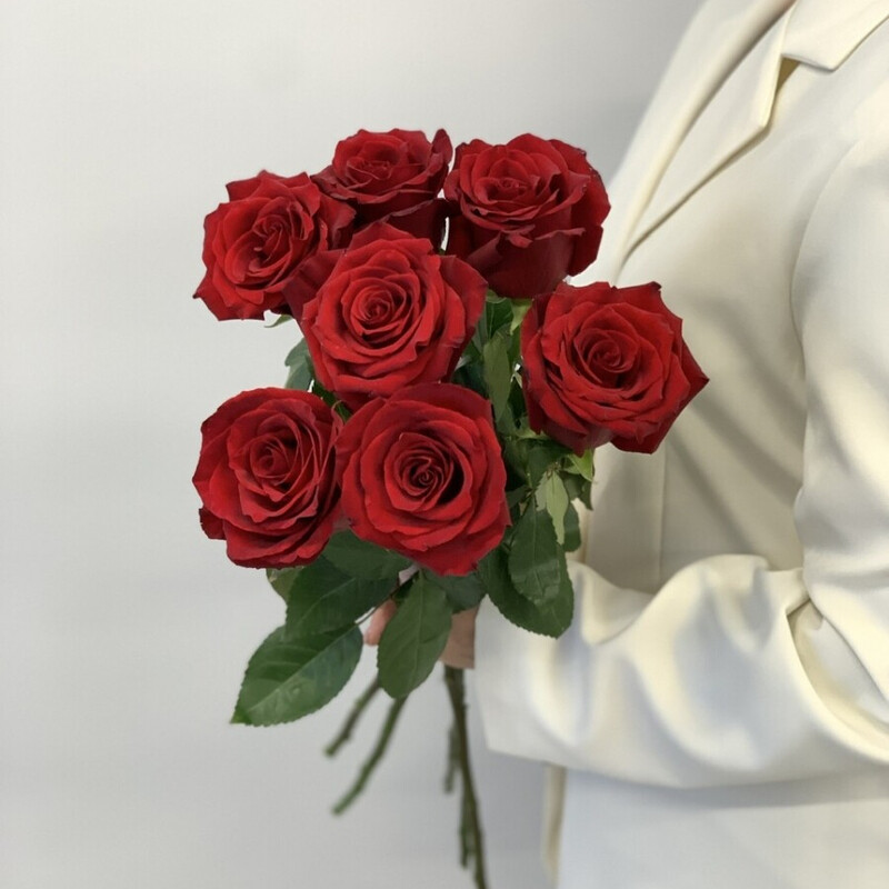 7 красных роз , стандартный