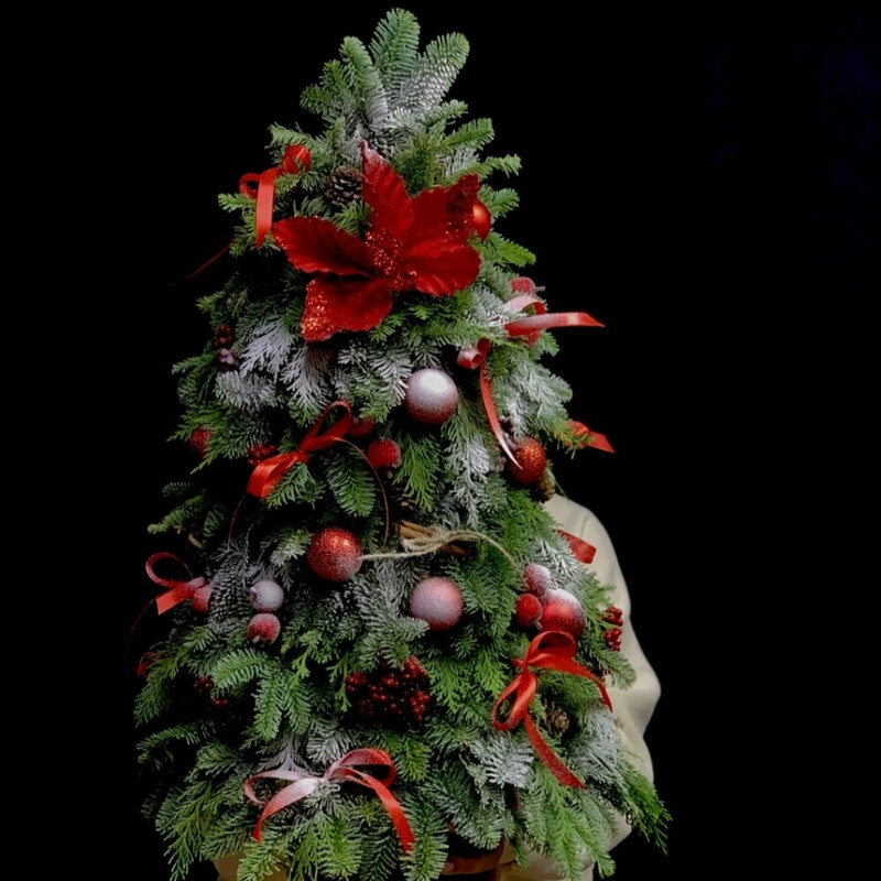 Elka prazdnichnaya, standart