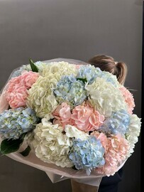 Гортензии 17 штук