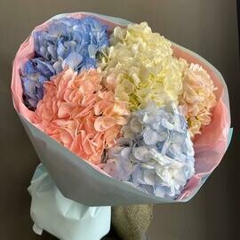 Гортензии 5 штук