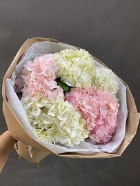 Букет из 5 бело-розовых гортензий