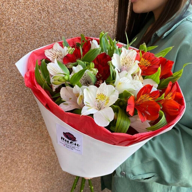 Al_stromeriya, standart