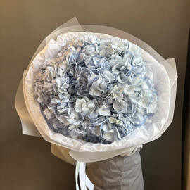 Монобукет из 7 нежных гортензий