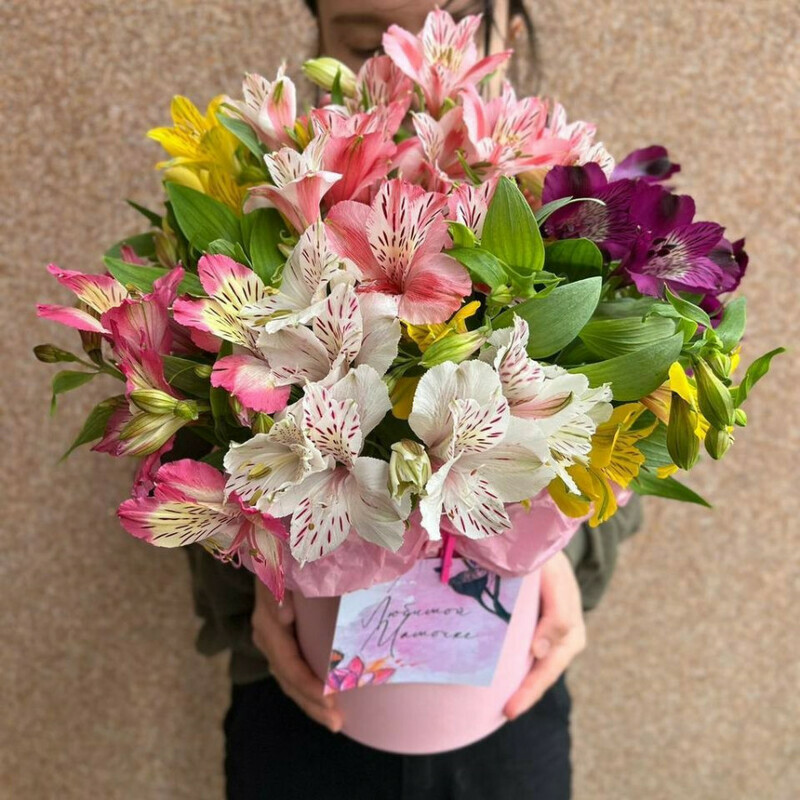 коробочка Альстромерий, стандартный