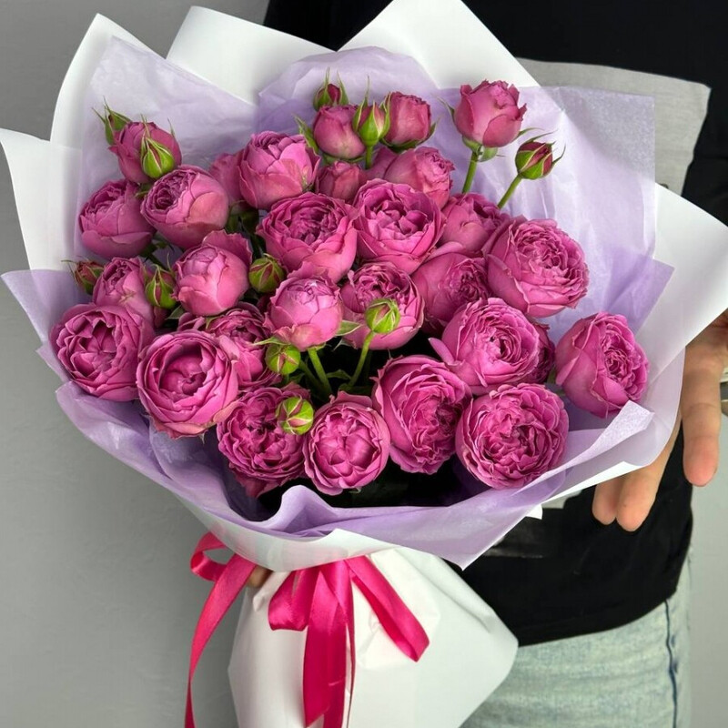 Buket Melino, standart