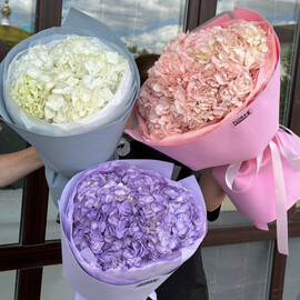 3 buketa iz gortenzij