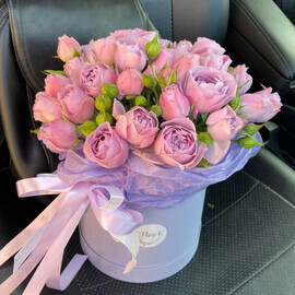 Шляпная коробка Лавендер Баблс