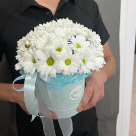 Korobochka s romashkoj