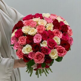 51 красочная роза