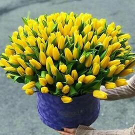 Композиция из 101 тюльпан