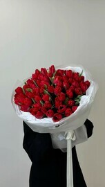 Букет из 51 красного тюльпана