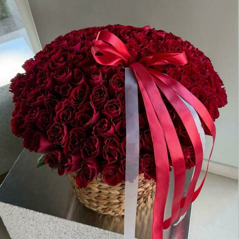 101 fresh red Roses, 101 krasnaya roza svezhaya