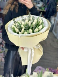 Тюльпаны круглая упаковка