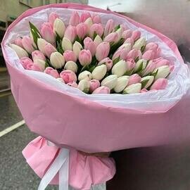 Букет из 101 бело-розовых тюльпанов