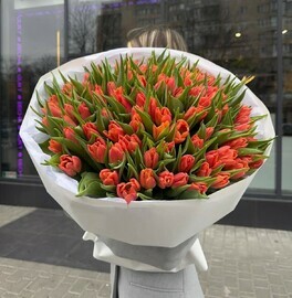 101 тюльпан классика любимой