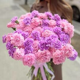 51 gvozdika diantus nezhnij