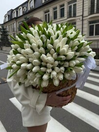 Букет из 201 тюльпана в корзине