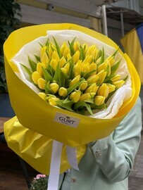 51 zheltij tyul_pan solnechnij