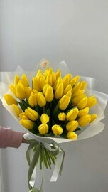 35 жёлтых тюльпанов
