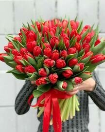 51 krasnij tyul_pan hit prodazh