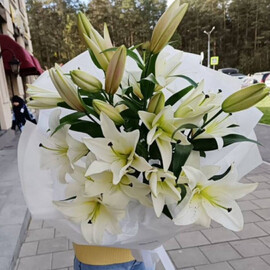 Buket iz lilij