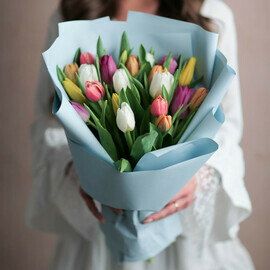 21 тюльпан микс в упаковке