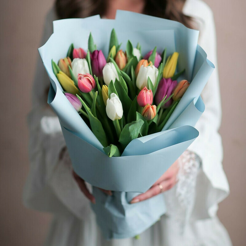 21 тюльпан микс в упаковке, стандартный