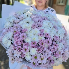 Гигант из ромашек хризантем