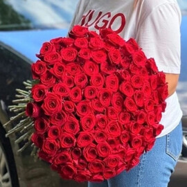 101 роза премиум 