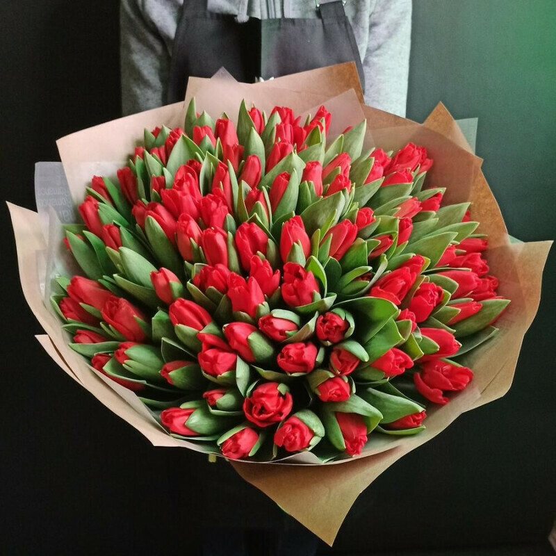 51 krasnij tyul_pan, standart