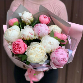 11 пионов ароматный