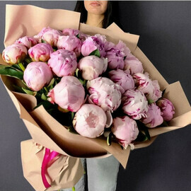 Пиономания