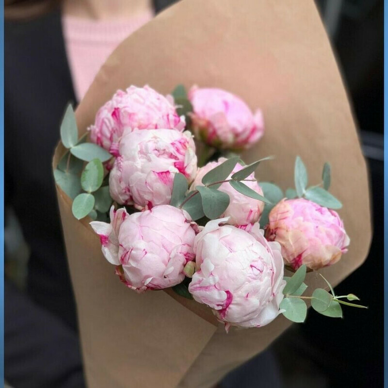 7 sht pionov v krafte, standart